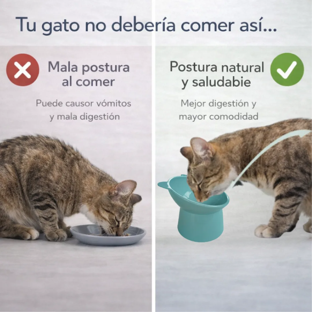 Plato Elevado Ergonómico para Gatos miniatura 2