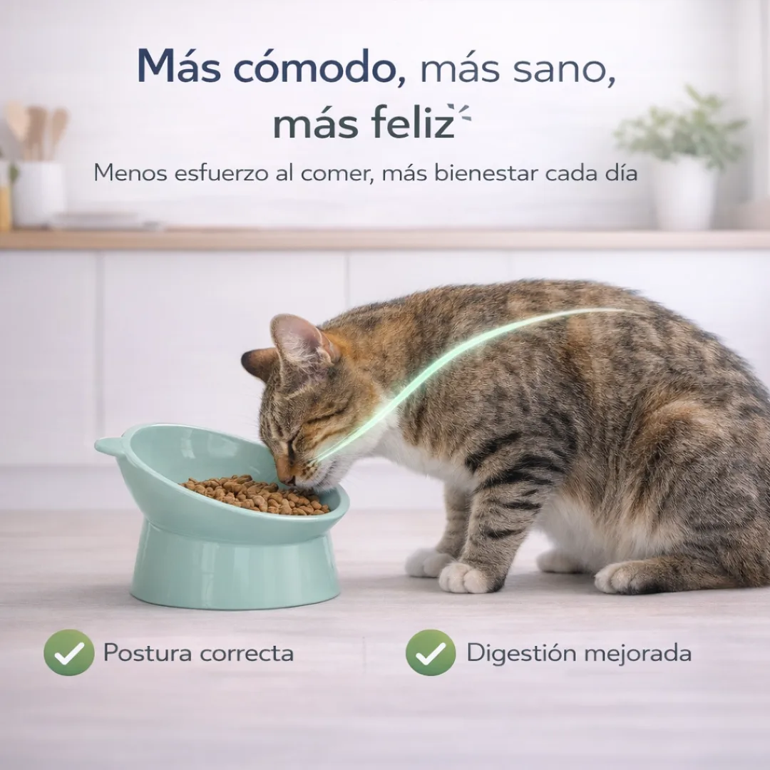 Plato Elevado Ergonómico para Gatos miniatura 4