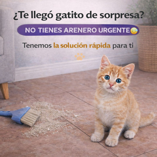 Arenero Práctico para Gatos + Palita Incluida