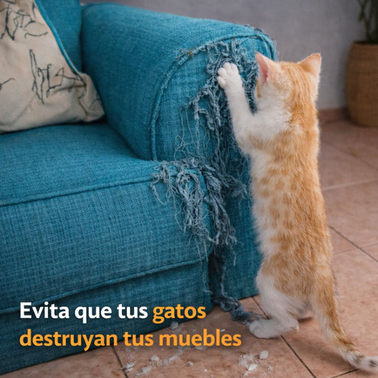 Gatero Jumbo 173cm - Torre para Gatos con Rasguños, Cuevas y Cama