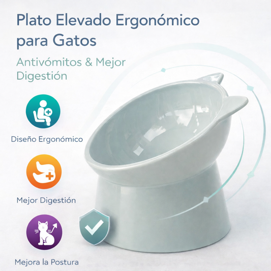 Plato Elevado Ergonómico para Gatos